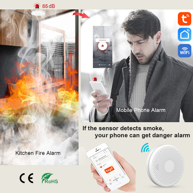 2 in 1 Version WiFi Tuya Smart - đánh giá và giá Smoke Detector Interconnected