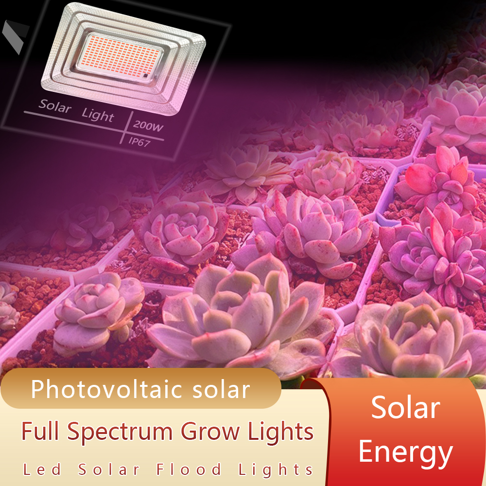 LED Full Spectrum Phyto Lamp 2 - đánh giá và giá Power Outage Light
